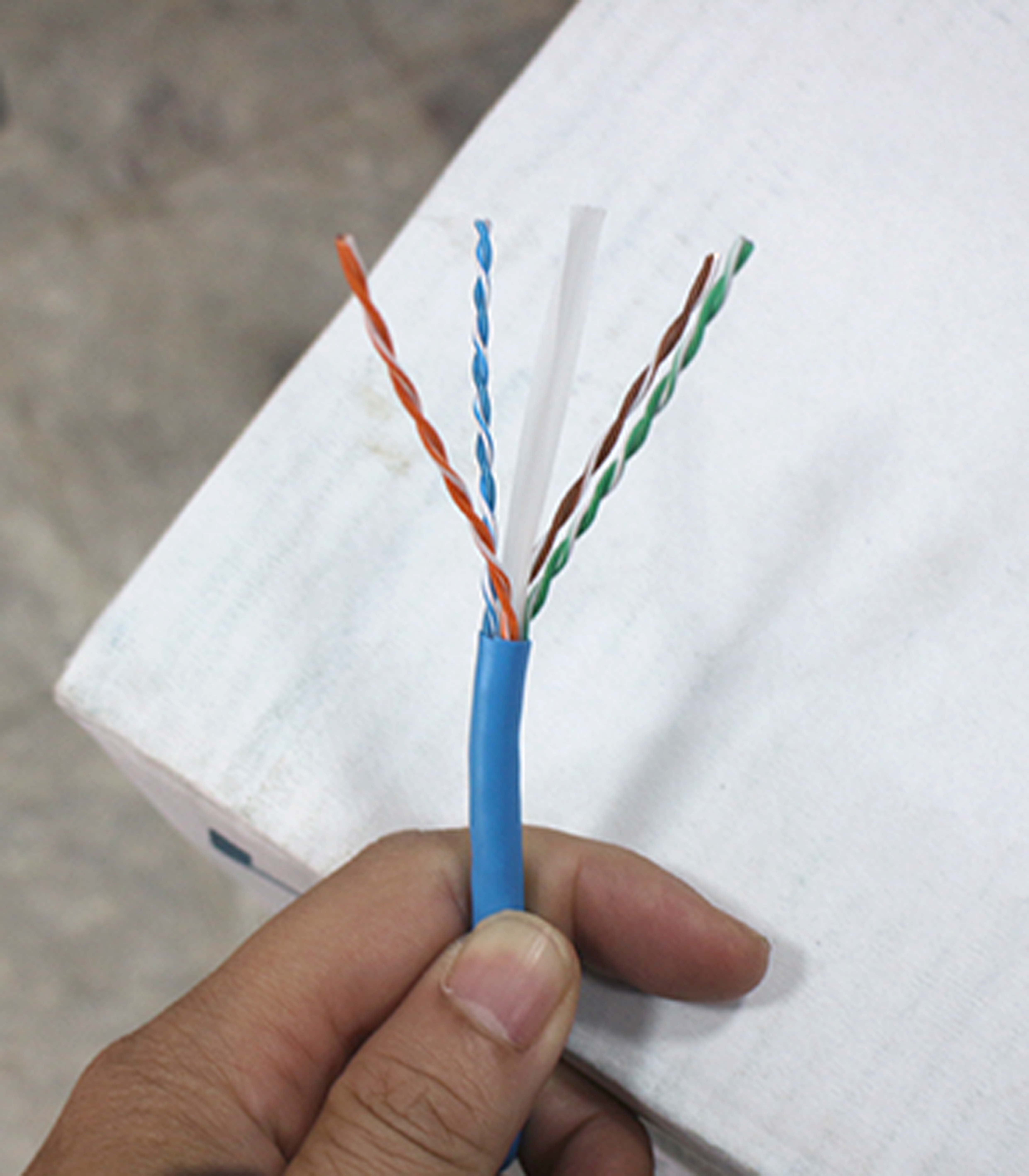 cap-mang-ls-cat6-utp-chinh-hang.png