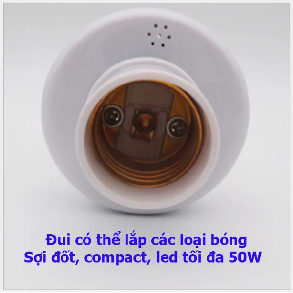 7_d313c0593f75435d9cdbb4f0bd83385e_grande